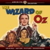 Main Title (The Wizard Of Oz) - MGM Studio Orchestra&MGM Studio Chorus