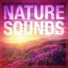 Sounds from a Prairie: Crickets and Cowbells - Rest&Relax Nature Sounds Artists