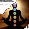 Jubilance Of Soul (Relaxing Binaural Meditation) (Original Mix) - Jenifer John Meditation Collective