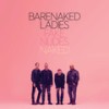 Invisible Fence (acoustic) - Barenaked Ladies