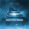 Shining Lights (Radio Mix) - Andy Cley