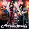 Nth Degree (Album Version) - Morningwood