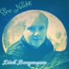 Eine Nacht - Dirk Bergmann