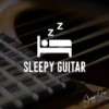 Sleepy Guitar - Sleepy Joe