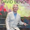 Fuzzy Logic - David Benoit&Spice Fusion