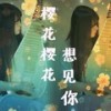 【琵琶】樱花樱花想见你 (其他) - 小二梦