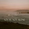 You're Not Alone - Punctual&RY X&Robin Taylor-Firth&Timothy Kellett