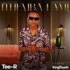 Ithemba Lami (Radio Edit) - Tee-R&KingTouch