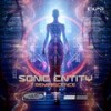 Reminiscence (Original Mix) - Sonic Entity