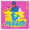 PEGAITO - Fonty