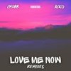 Love Me Now (feat. Kidd Rifft) (Kidd Rifft Remix) - Pesukone&CHXBB&ACKO&Kidd Rifft