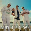 Vuela Paloma - DANY OME&KEVINCITO EL 13&Jacob Forever&Gatillo