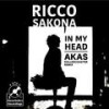 In My Head (feat. AKAS) (AKAS Rollercoaster Remix) - Ricco Sakona