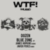 Blue Zone  - remix (Remix) - Dozen