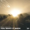 You Want It Back - Tripton&LOWKEY&Oana