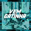 VEM GATINHA (Explicit) - Mc Panda&DJ BM PROD