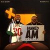 Banned Am (feat. Magnito) (Remix) - BigBerry&Magnito