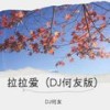 拉拉爱 (remix: 袁开壮) (Remix) - DJ何友