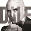 Como Yo Le Doy (Spanglish Version) - Pitbull&Don Miguelo