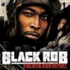 They Heard I Got Life(amended) - Black Rob