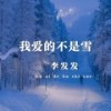 我爱的不是雪 (伴奏) - 李发发