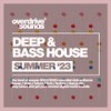 Too Short (Bass House Dub Mix) - Joseph Carnero