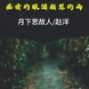 痴情的眼泪相思的雨 (DJ默涵对唱版伴奏) - 月下思故人&赵洋