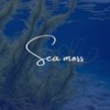 Sea Moss - SwuM