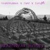 Heartbreak Infinite (feat. SwuM) (Explicit) - namebuddha&SwuM