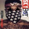 Good (Explicit) - Skyboy