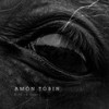 Rise to Ashes - Amon Tobin