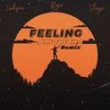 Feeling (Shayn Remix) - Ladipoe&Buju&Boris David SASSOU&Shayn