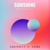 Sunshine ( Illusions) - Krewkut&Aemz