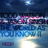 The World As You Know It (Denzal Park Mix) - todd watson&Jason Singh