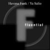 Ya Salio (Scientific Soul Macumba Tool) - Havana Funk