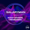 Many Sounds I Remember - Salaryman