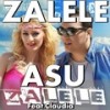 Zalele ( Feat. Claudia ) - Asu&Claudia