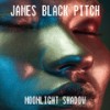 Moonlight Shadow (Radio Edit) - James Black Pitch