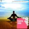 Divine Mindful Melodies (Original Mix) - Charles Thomas