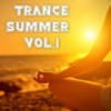 Hot Summer Night (DJ Friendly Mix) - Soyana Project&Wemms Project