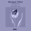 Soul Survivor - Boriqua Tribez