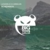 Remember (Extended Mix) - Lowdelic&ORNICAN