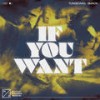 If You Want (Extended Mix) - Tungevaag&SMACK