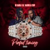 Perfect Timing (Explicit) - Ru Banga&Magnolia Chop