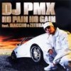 NO PAIN NO GAIN feat.MACCHO & ZEEBRA - DJ PMX