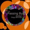 Passing By - QuiQui