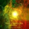 What a Lovely Day (feat. Steve Anderson) - Robert Lowe&Steve Anderson