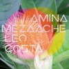 Ayahuasca - Leo Costa&Amina Mezaache