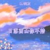 日落西山你不陪（DJ版） (其他) - DJ何友