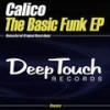 Feeling You Inside(Deeper) - Calico